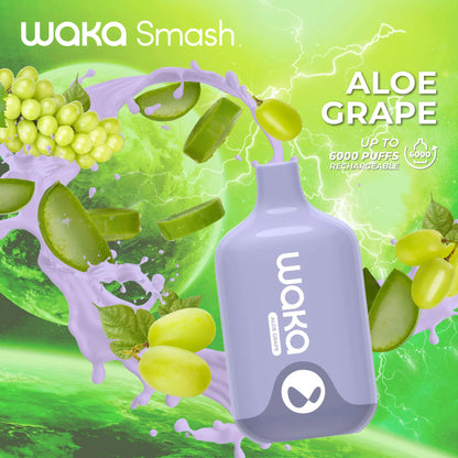 WAKA SMASH